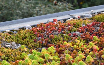 the cost of New End green roof installation