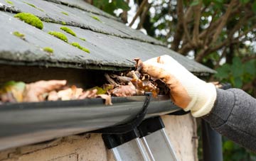 gutter cleaning New End