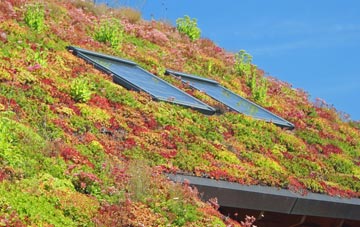 New End living roof systems