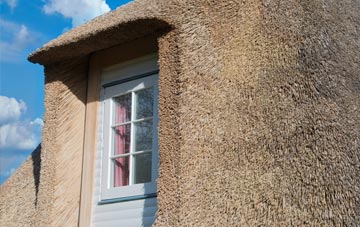 New End thatch roof disadvantages